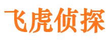 南陵市侦探公司